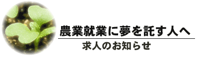 農業就業に夢を託す人へ 求人タイトル